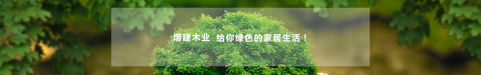 產(chǎn)品banner